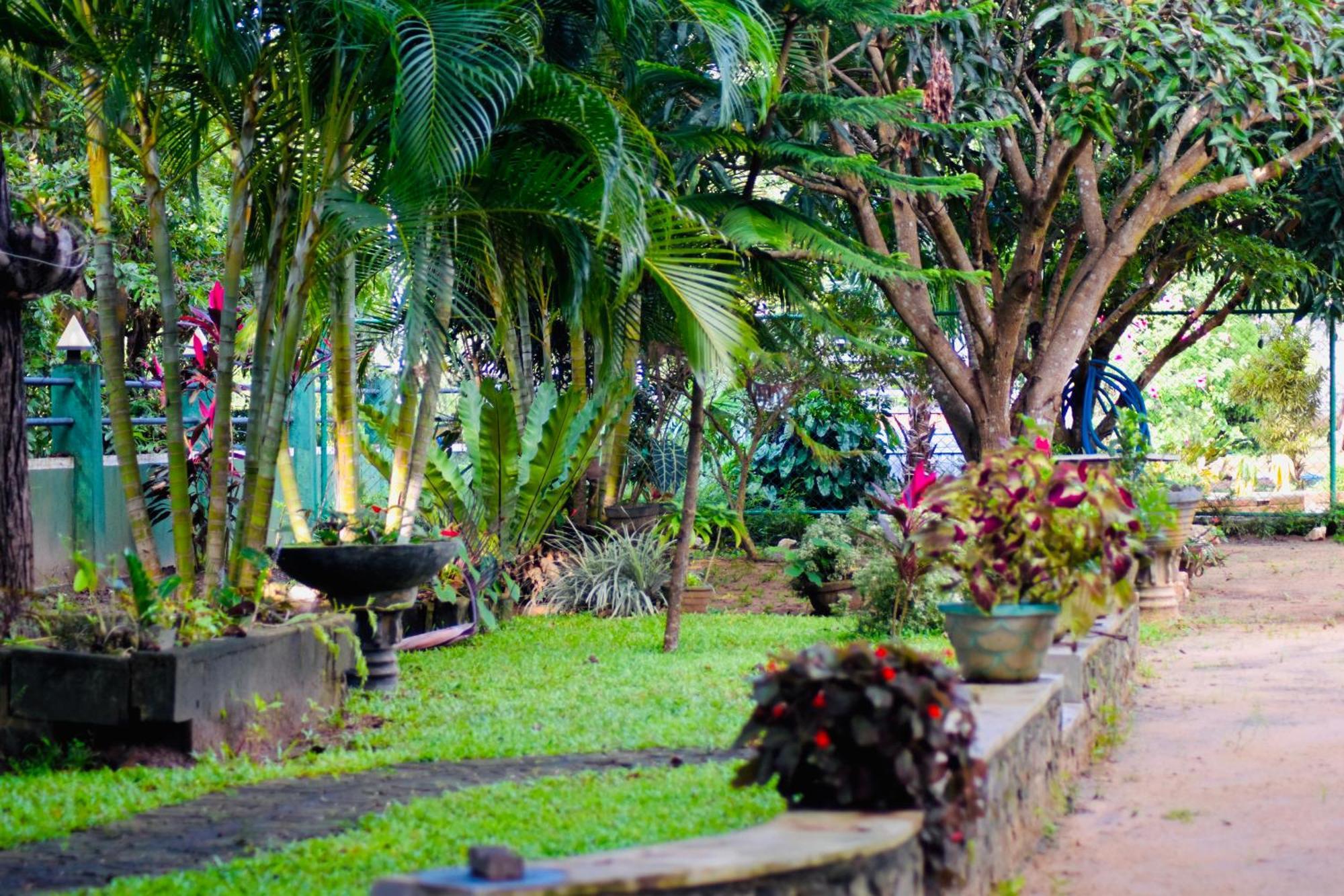 Sinhagiri Villa Sigiriya Ngoại thất bức ảnh