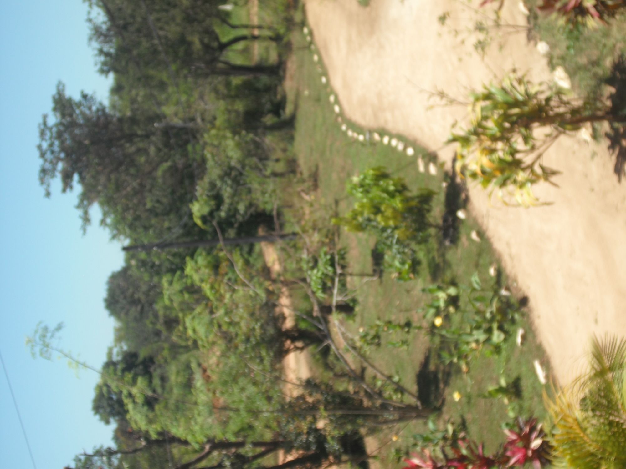 Sinhagiri Villa Sigiriya Ngoại thất bức ảnh